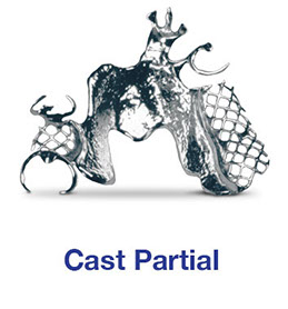 Cast Partial